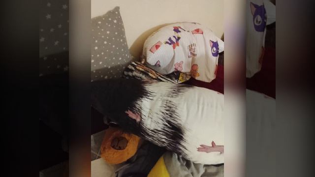 мои воспоминания