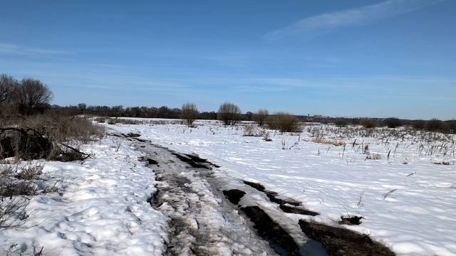 Весеннее поле