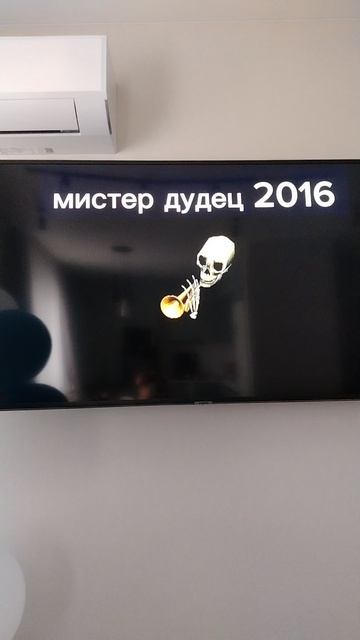 Мистер дудец 2016