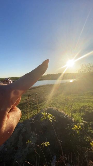 Живу на пруду