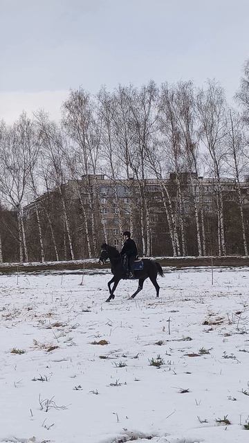 Вика и Рокас Вэлл разминочный галоп на снежном плацу.