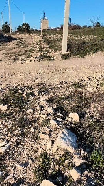 Conoclypusы 2026 04 25