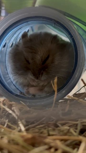 Федя задремал