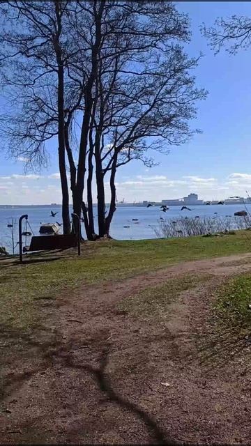 Апрель Гуси и Балтика