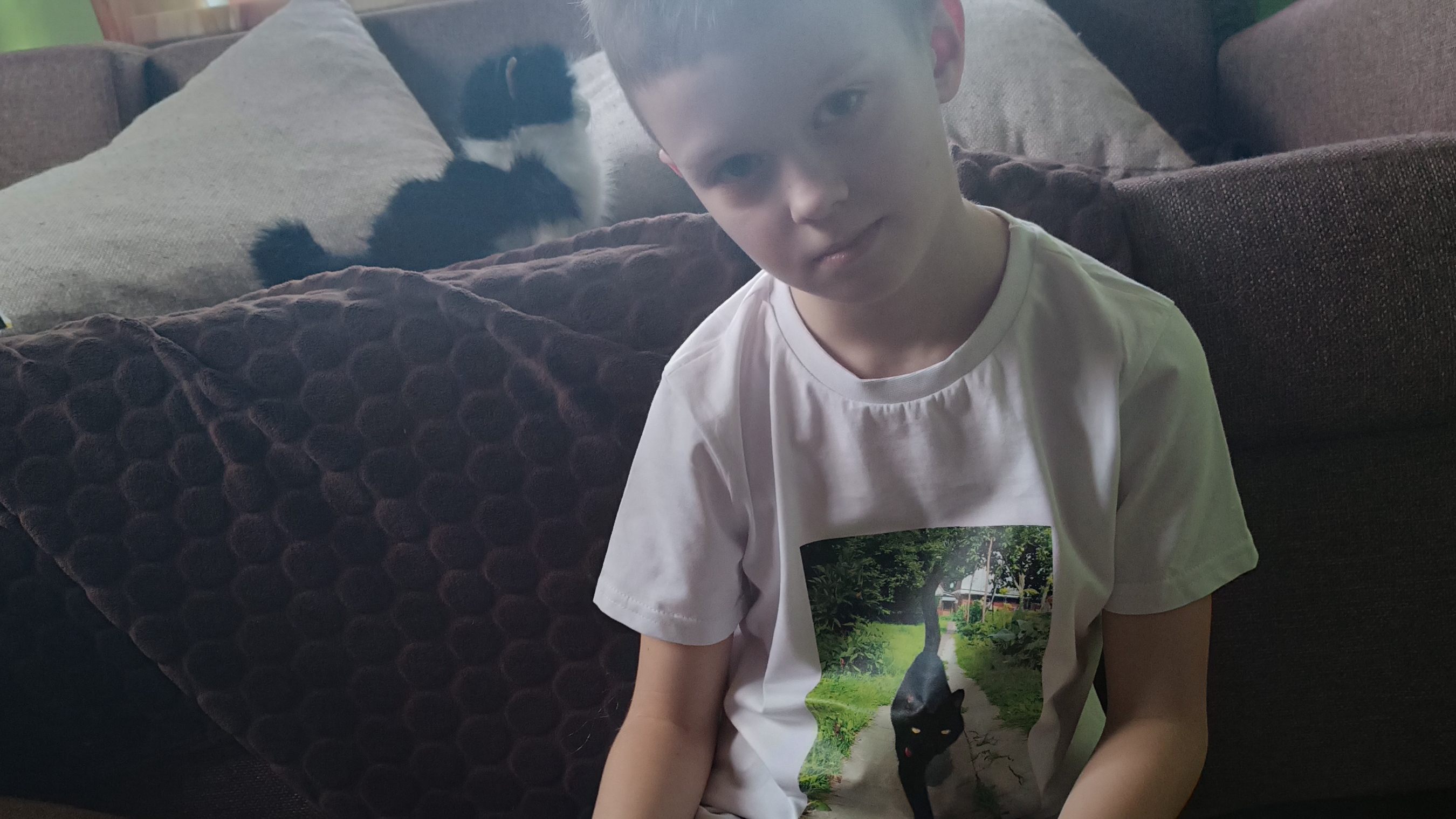 обзор на моего брата кводробера