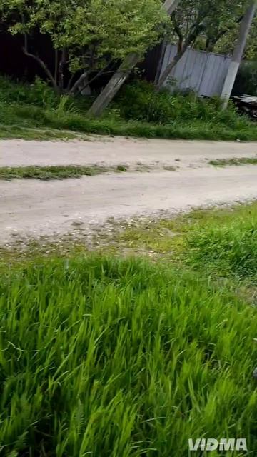 Приучаем молодёжь идти домой 