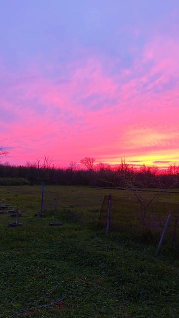 Розовый закат 