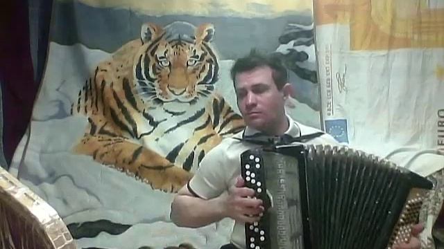 Баянист Сурмач Андрей Викторович Andrew Surmach прои Янка Белорусский народный танец