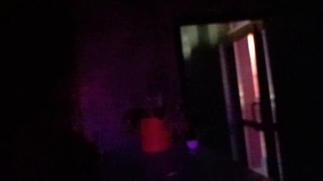 Жутковато . Лабиринт страха. Сочи парк.