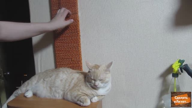 Когтедралка своими руками