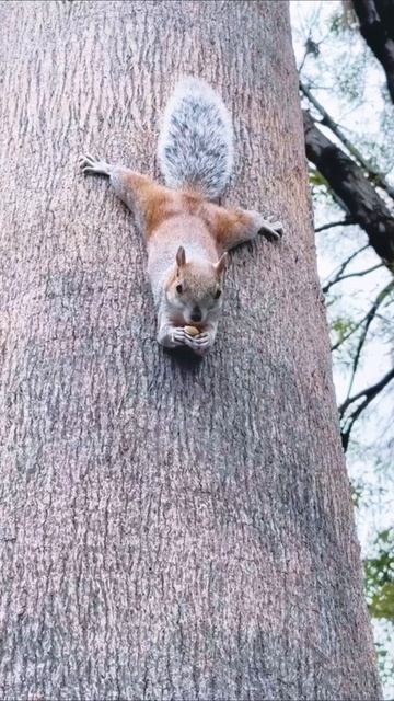 Много нас таких?  моибудни лучшаяверсиясебя юмордлямам декретныйюмор мамскийюмор