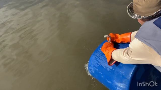 Субботний запуск форели!!!