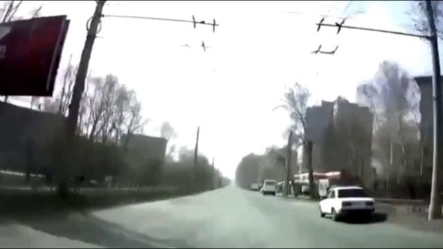 Дерево почти попало по семерке