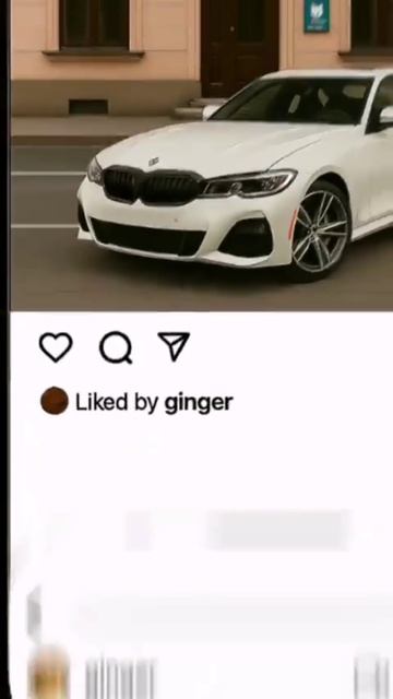 котята пояснят