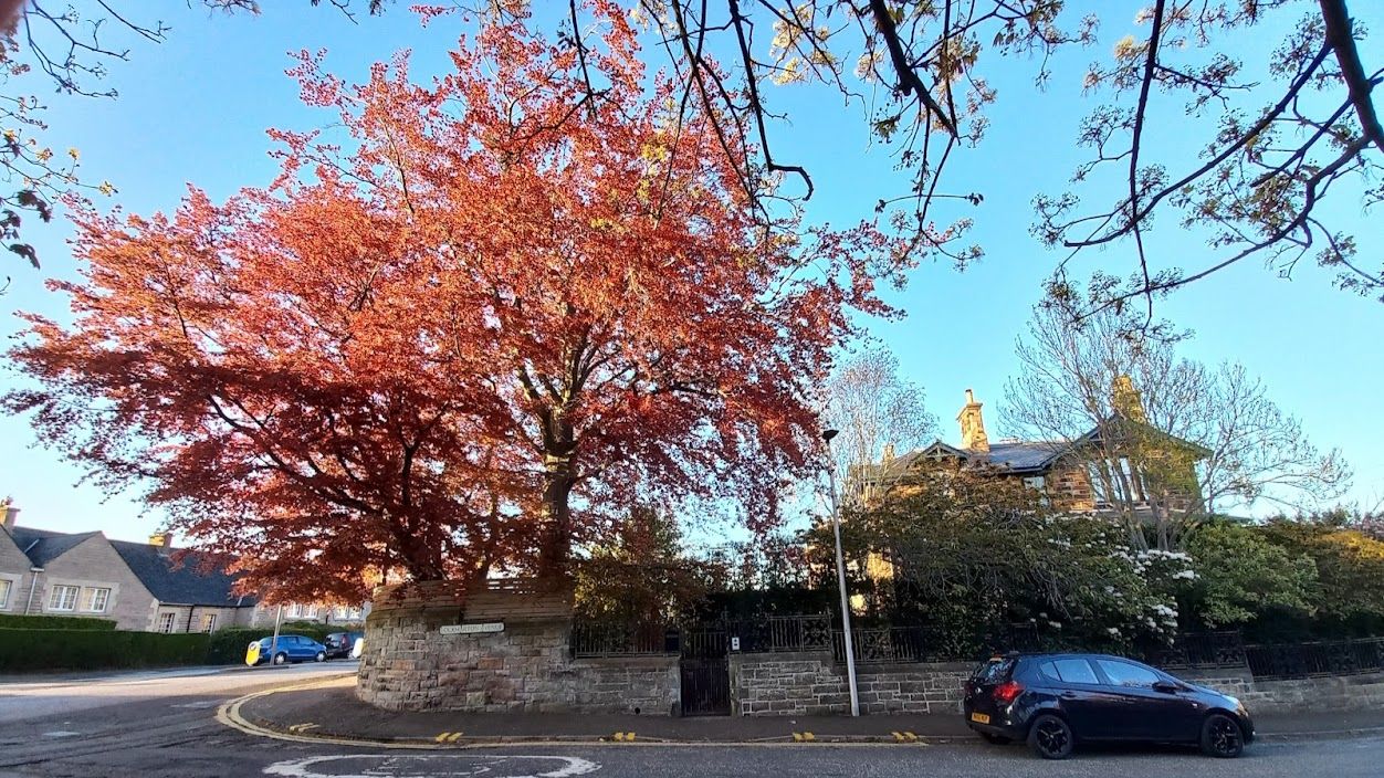 AB Pair: The Last Time I Saw You