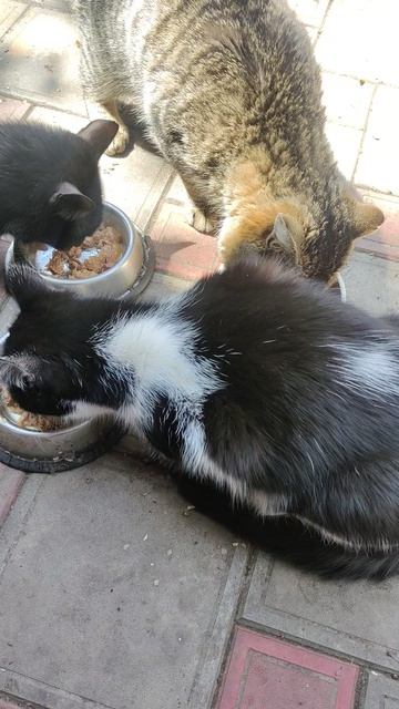 Всё как всегда... И это замечательно!