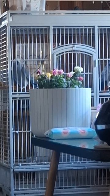 ВСЕМ  ДОБРА !!!!!!!