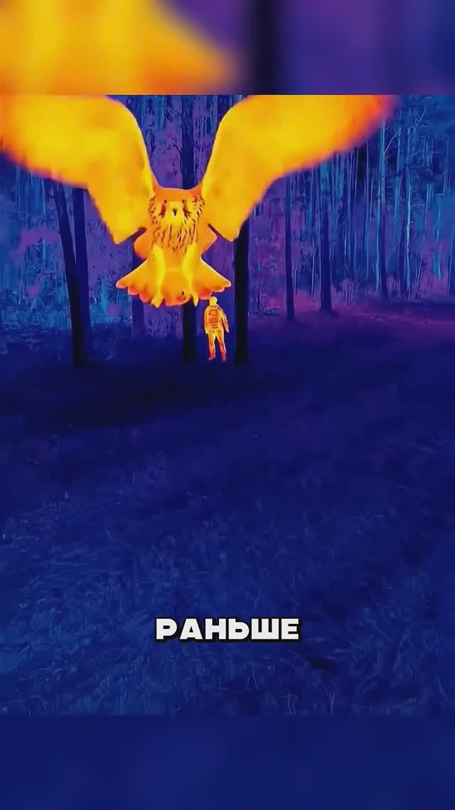 Дагестанцы ШОКИРОВАЛИ Пентагон    ЧЕЛУБЕЙ