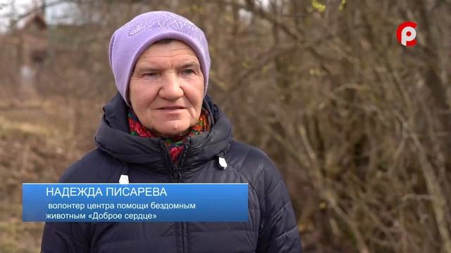 Доброе сердце 24.06.2026