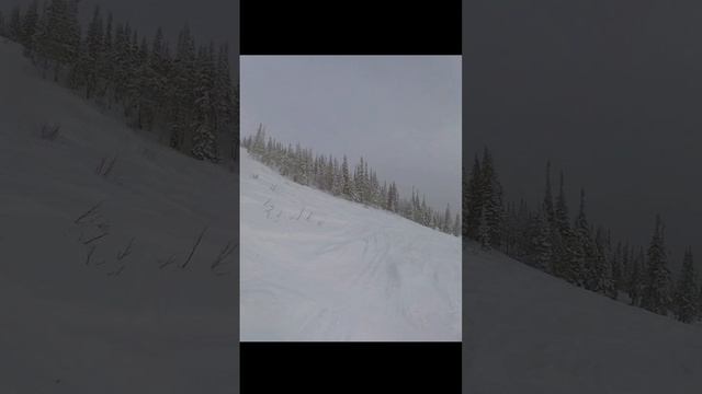 Шерегеш фрирайд