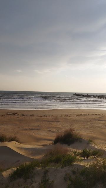 Анапа барханы море Shorts Life