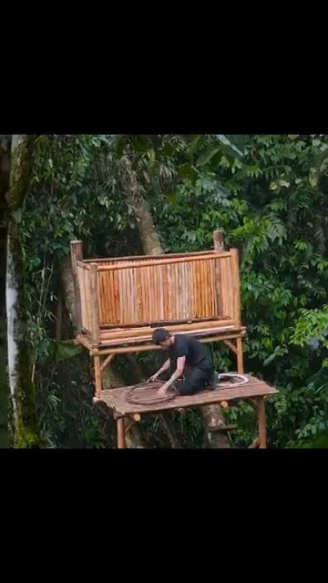 I Created A Secret Safe Shelter On A Tall Tree In The Rainforest Survival Rainforest Campping Get.g