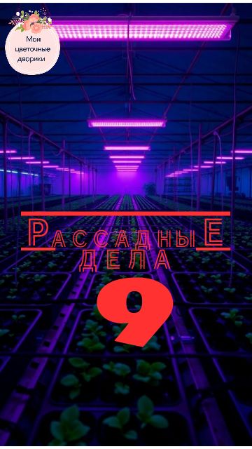 Рассадные дела 9