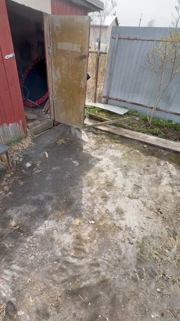 приводим бюджетно дачу в место для отдыха но не забываем про скромный урожай