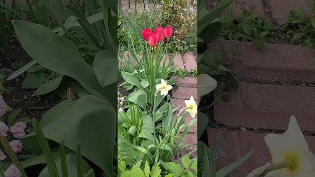 Ставрополь Весна Любимая хатка