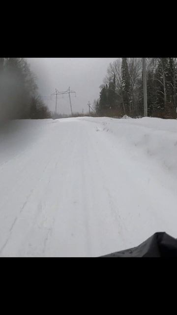 Зимние соседи