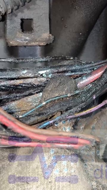 MB ACTROS. Крутит не заводися. Как он не сгорел вообще? Диагностика в Питере 79650148556.