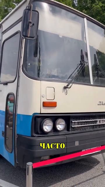 Зачем на автобусах Икарус ставили странные очки на фары?