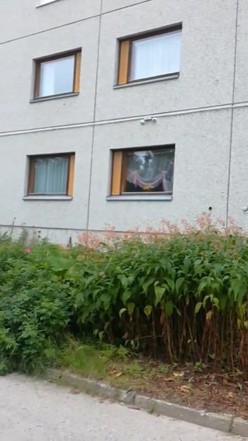 улица Первомайская улица первомайская