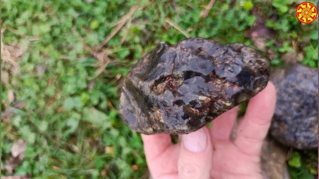 Очень красивая окаменелая опализированная древесина возможно фрагмент окаменелой кости 