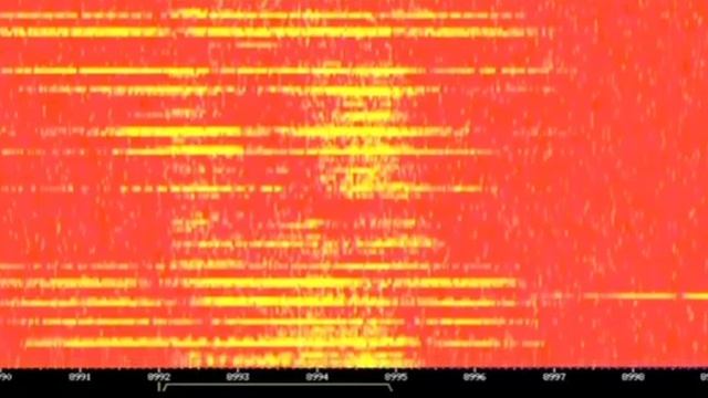 Американский аналог радио Судного дня выпустил очень редкое сообщение российская Жужжа