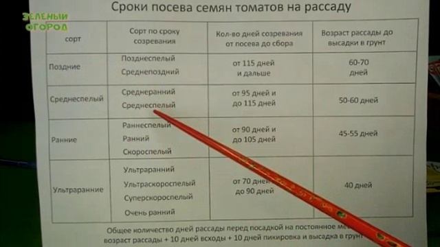Сроки Посева Томатов