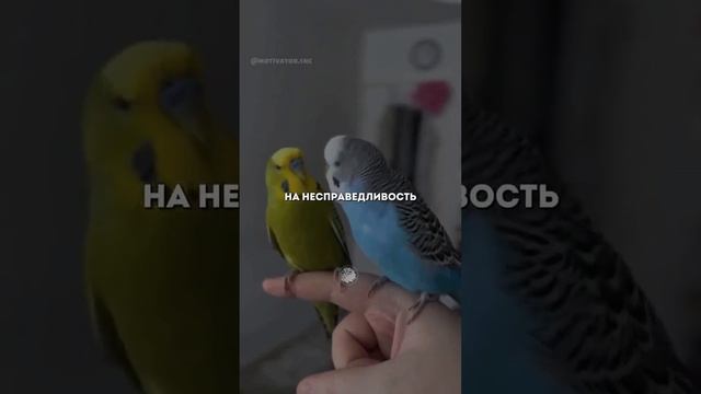Хорошего дня!