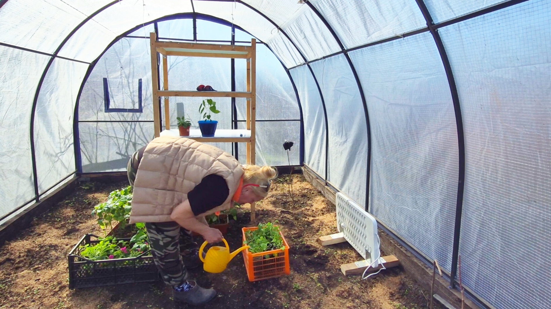 25-04 САД ОГОРОД И МОЁ ХОЗЯЙСТВО