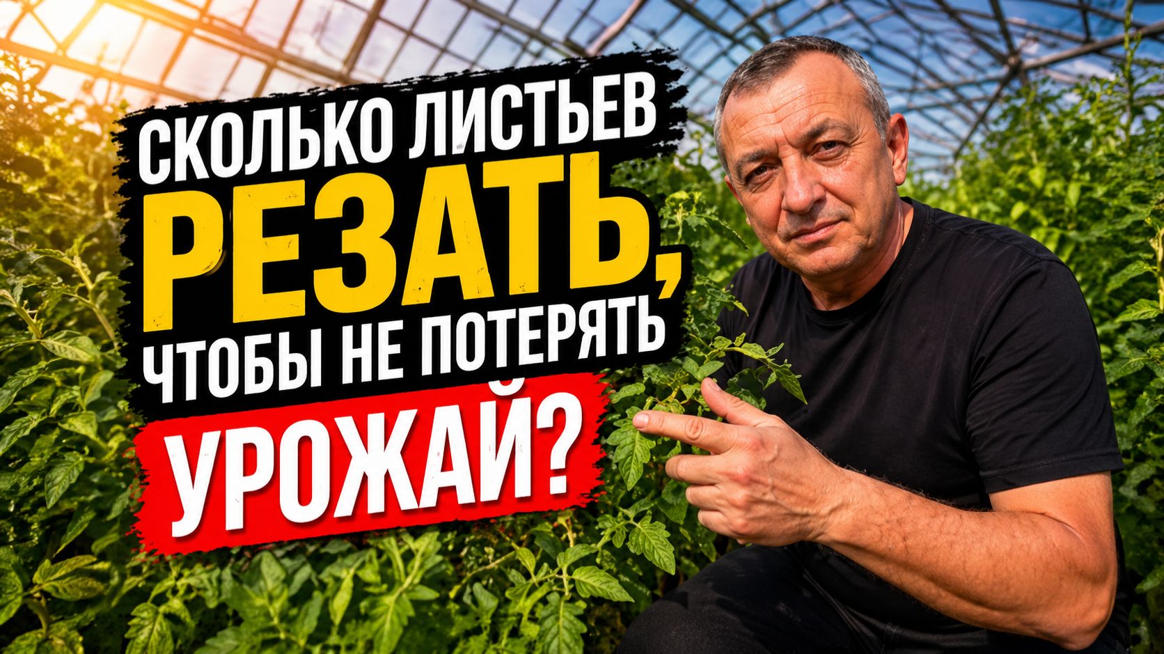 Обрезаете листья а томаты всё равно жируют? Правило 15 листов