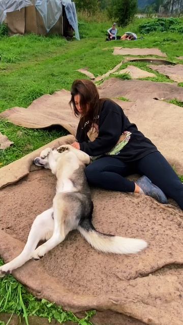 Экспедиция