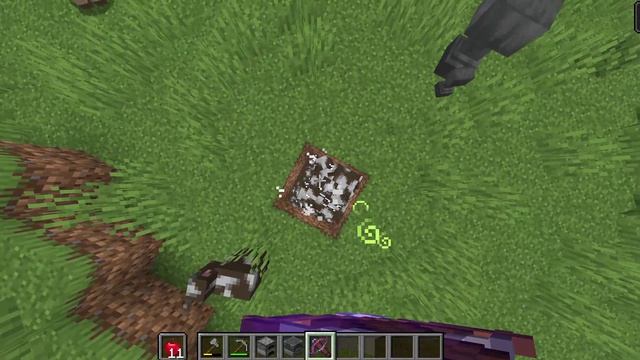 ПОКАЗЫВАЮ ФОКУСЫ В МАЙНЕ