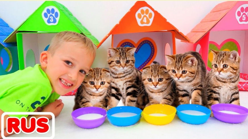 Влад и Никита играют с котятами