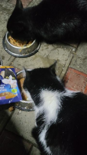 Дорогие волшебники спасибо что помогаете помогать! Дай Бог вам здоровья!