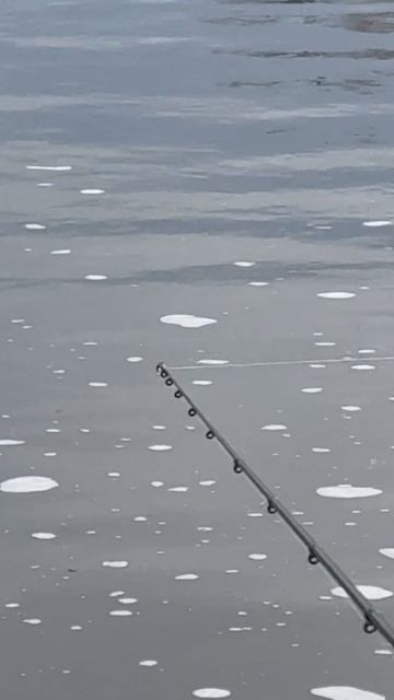 рыбалка на фидер