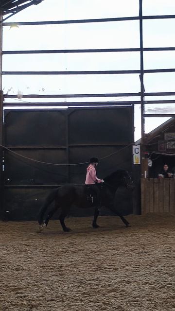 Даша и Аквилон галоп по стенке в манеже без седла.