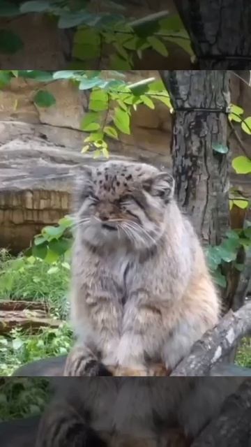 Моё настроение в школе: