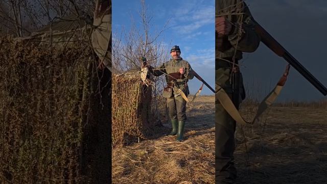 охота на утку селезня  2