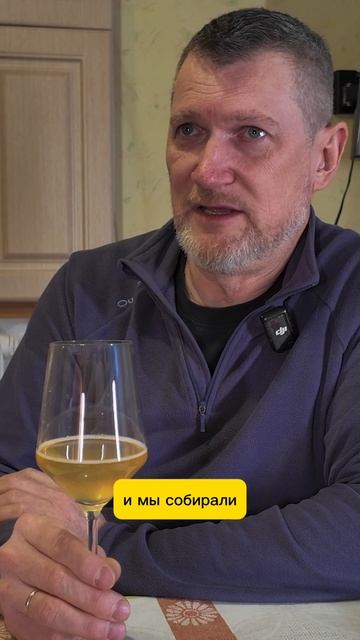 Откуда реально берётся тонна яблок для сидра?  Не всё так просто сидр урожай напитки яблоки