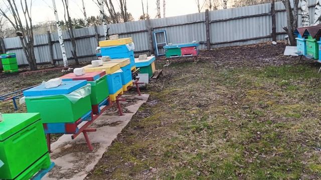 22.04.26. Проверка кормов сново нет матки!!!