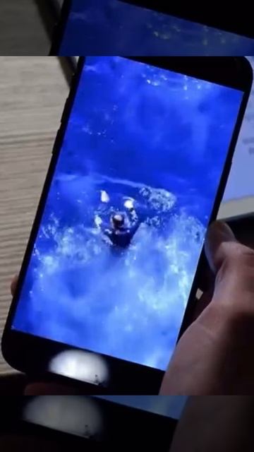 Буданов был летом с десантом в чёрном море но зассал